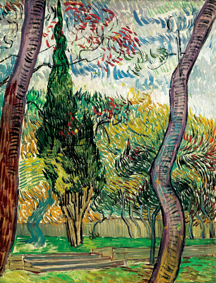  文森特·威廉·梵高  Vincent Willen Van Gogh —— 圣保罗医院的公园 (3)